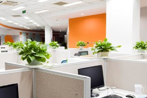 面试回答技巧：如何让面试官认可你