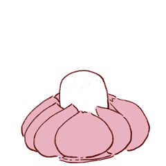 2026年考研306西医综合真题解析｜备考复习全攻略