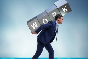 面试前应该查阅应聘公司的什么信息？