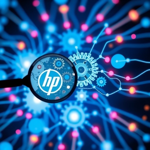 惠普的HR：向内找机会