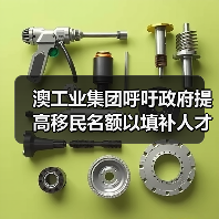 澳工业集团呼吁政府提高移民名额以填补人才(图3) 澳工业集团呼吁政府提高移民名额以填补人才(图3)