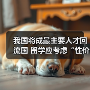 我国将成最主要人才回流国 留学应考虑“性价比”(图3) 我国将成最主要人才回流国 留学应考虑“性价比”(图3)