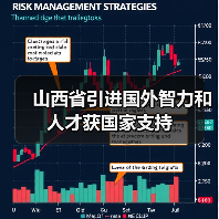 山西省引进国外智力和人才获国家支持(图3) 山西省引进国外智力和人才获国家支持(图3)