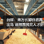 台媒:萧万长卸任后再出马 说明国民党人才折损殆尽(图2) 台媒:萧万长卸任后再出马 说明国民党人才折损殆尽(图2)
