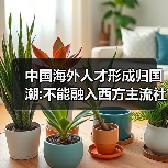 中国海外人才形成归国潮:不能融入西方主流社会(图2) 中国海外人才形成归国潮:不能融入西方主流社会(图2)