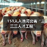 151人入选河北省“三三三人才工程”(图1) 151人入选河北省“三三三人才工程”(图1)