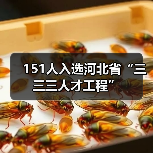 151人入选河北省“三三三人才工程”(图4) 151人入选河北省“三三三人才工程”(图4)