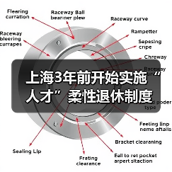 上海3年前开始实施“人才”柔性退休制度(图4) 上海3年前开始实施“人才”柔性退休制度(图4)