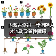 内蒙古将进一步消除人才流动政策性障碍(图3) 内蒙古将进一步消除人才流动政策性障碍(图3)