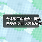 专家谈三中全会:侨资来华获便利 人才竞争更激烈(图1) 专家谈三中全会:侨资来华获便利 人才竞争更激烈(图1)