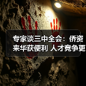 专家谈三中全会:侨资来华获便利 人才竞争更激烈(图2) 专家谈三中全会:侨资来华获便利 人才竞争更激烈(图2)