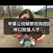 苹果公司频繁收购或因难以挽留人才(图1) 苹果公司频繁收购或因难以挽留人才(图1)