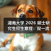 湖南大学 2026 硕士研究生招生章程：双一流强校报考新攻略！（图2）
