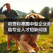 调查称德国中型企业面临专业人才短缺问题（图2）