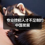 专业技能人才不足制约中国发展(图1) 专业技能人才不足制约中国发展(图1)