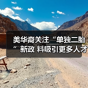 美华裔关注“单独二胎”新政 料吸引更多人才回国（图3）
