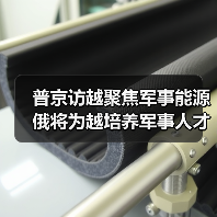普京访越聚焦军事能源 俄将为越培养军事人才