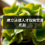 建立法律人才双向交流机制