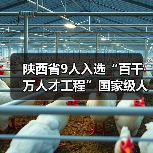 陕西省9人入选“百千万人才工程”国家级人选（图4）