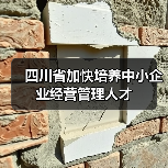 四川省加快培养中小企业经营管理人才（图3）
