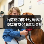 台湾岛内博士过剩转行卖鸡排?2016年就会缺人才（图3）