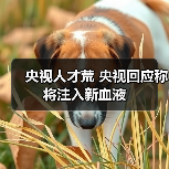 央视人才荒 央视回应称将注入新血液（图4）
