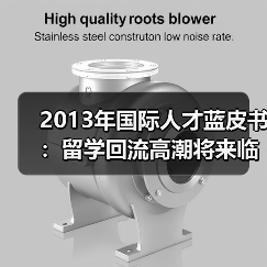 2013年国际人才蓝皮书:留学回流高潮将来临(图3) 2013年国际人才蓝皮书:留学回流高潮将来临(图3)