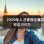 2020年人才资源总量或可达300万（图4）