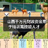 山西千万元财政资金用于培训高技能人才(图4) 山西千万元财政资金用于培训高技能人才(图4)