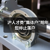 沪人才类 沪人才类