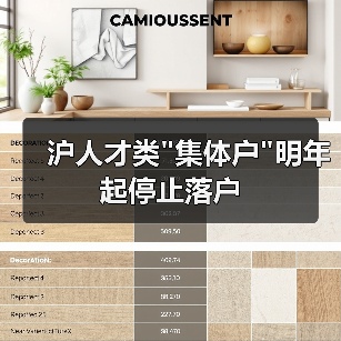 沪人才类 沪人才类
