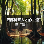 西部科研人才的“流”与“留”(图3) 西部科研人才的“流”与“留”(图3)