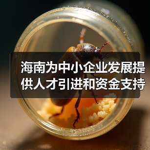 海南为中小企业发展提供人才引进和资金支持(图2) 海南为中小企业发展提供人才引进和资金支持(图2)