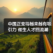 中国正变得越来越有吸引力 催生人才回流潮(图2) 中国正变得越来越有吸引力 催生人才回流潮(图2)