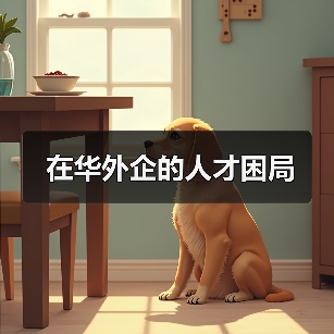 在华外企的人才困局(图4) 在华外企的人才困局(图4)