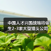 中国人才兴国战略将催生2-3家大型猎头公司(图2) 中国人才兴国战略将催生2-3家大型猎头公司(图2)