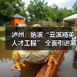 泸州：纳溪“云溪精英人才工程” 全面引进高级人才（图2）
