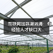 互联网加薪潮汹涌：有经验人才缺口大（图2）