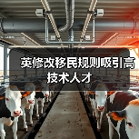 英修改移民规则吸引高技术人才（图4）