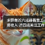 求职者近六成最看重工资收入 近四成关注工作休息时间(图3) 求职者近六成最看重工资收入 近四成关注工作休息时间(图3)