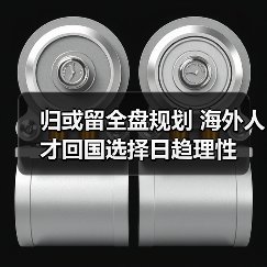 归或留全盘规划 海外人才回国选择日趋理性(图2) 归或留全盘规划 海外人才回国选择日趋理性(图2)