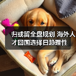 归或留全盘规划 海外人才回国选择日趋理性(图4) 归或留全盘规划 海外人才回国选择日趋理性(图4)