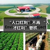 “人口红利”不再 “人才红利”要抓（图2）