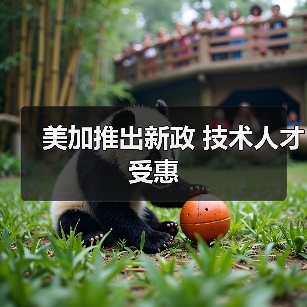 美加推出新政 技术人才受惠(图1) 美加推出新政 技术人才受惠(图1)
