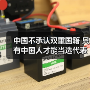 中国不承认双重国籍 只有中国人才能当选代表(图3) 中国不承认双重国籍 只有中国人才能当选代表(图3)