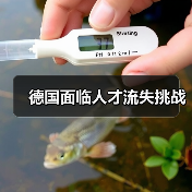 德国面临人才流失挑战(图3) 德国面临人才流失挑战(图3)