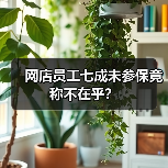 网店员工七成未参保竟称不在乎?(图4) 网店员工七成未参保竟称不在乎?(图4)