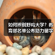 如何辨别野鸡大学？教育部名单公布助力留学防骗