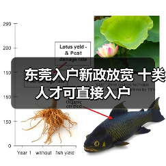东莞入户新政放宽 十类人才可直接入户(图2) 东莞入户新政放宽 十类人才可直接入户(图2)