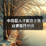中高层人才薪资上涨 企业更重性价比（图4）